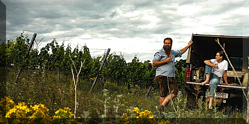 Fattoria Lavacchio